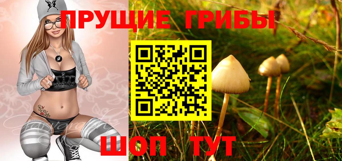 Псилоцибиновые грибы Cubensis Холмск