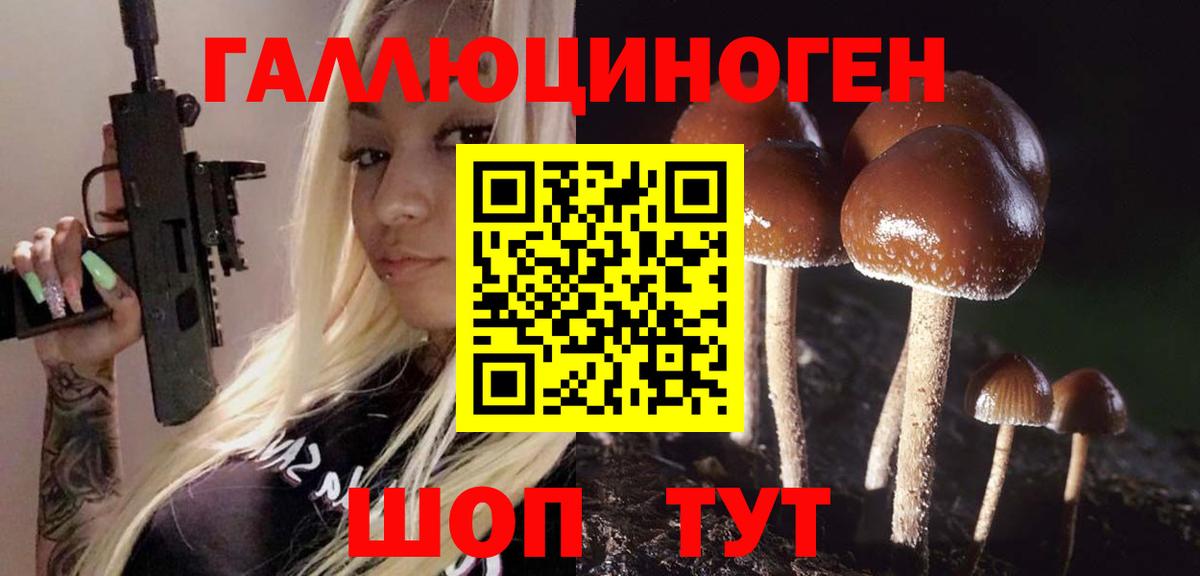 Псилоцибиновые грибы прущие грибы  купить закладку  Вход с VPN  Холмск  Галлюциногенные грибы ЛСД 